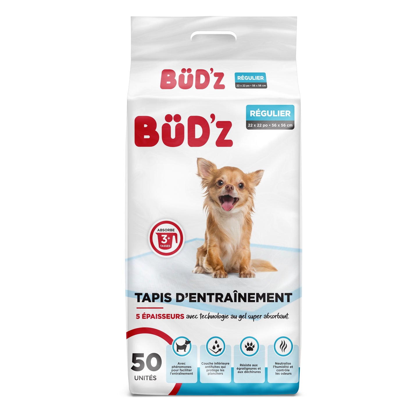 BUD'Z TAPIS ENTRAINEMENT 22X22