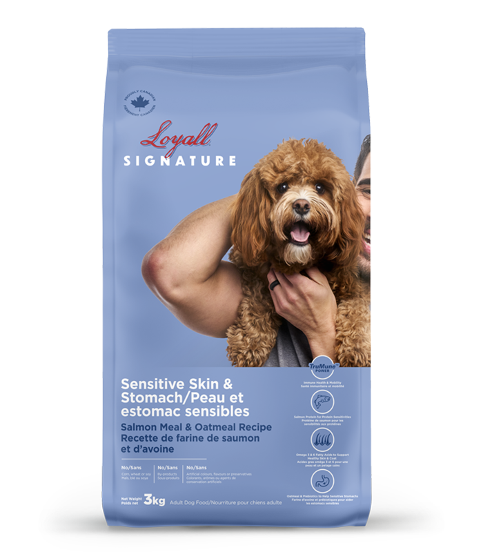 Loyall chien estomac sensible saumon