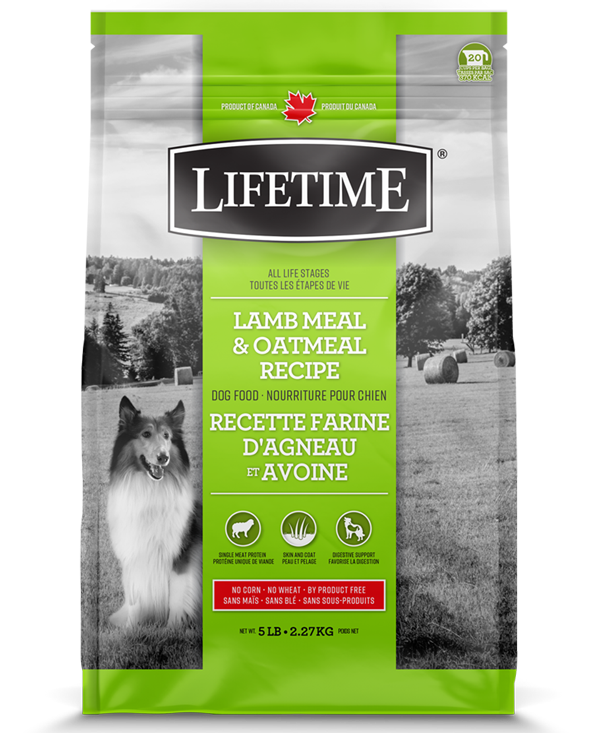TROUW NUTRITION LIFETIME CHIEN AGNEAU/AVOINE 2.27KG