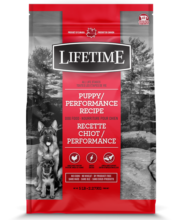 TROUW NUTRITION LIFETIME CHIOT PERFORMANCE POULET/AVOINE 2.27KG