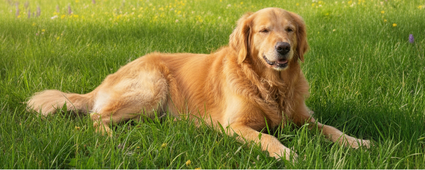 Promotions du mois de mars 2026