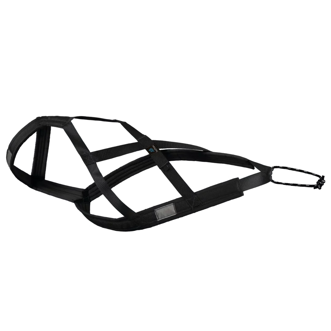 NAHAK HARNAIS DE  TRACTION