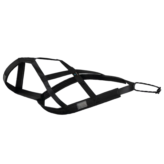 NAHAK HARNAIS DE  TRACTION