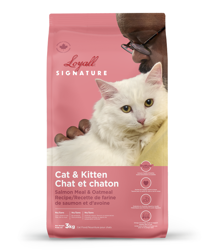 LOYALL SIGNATURE CHAT SAUMON