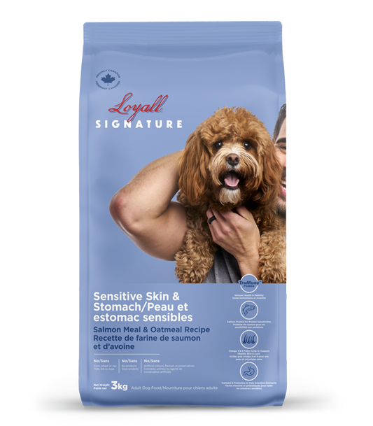 Loyall chien estomac sensible saumon