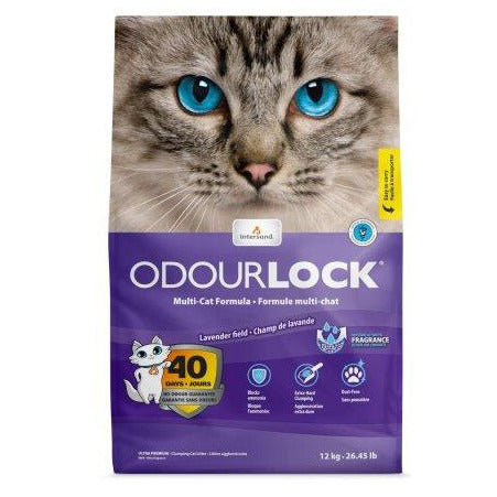 INTERSAND ODOURLOCK LITIÈRE AGGLOMÉRANTE LAVANDE 12 kg
