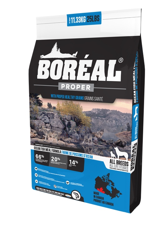 BORÉAL CHIEN PROPER POISSON MARIN