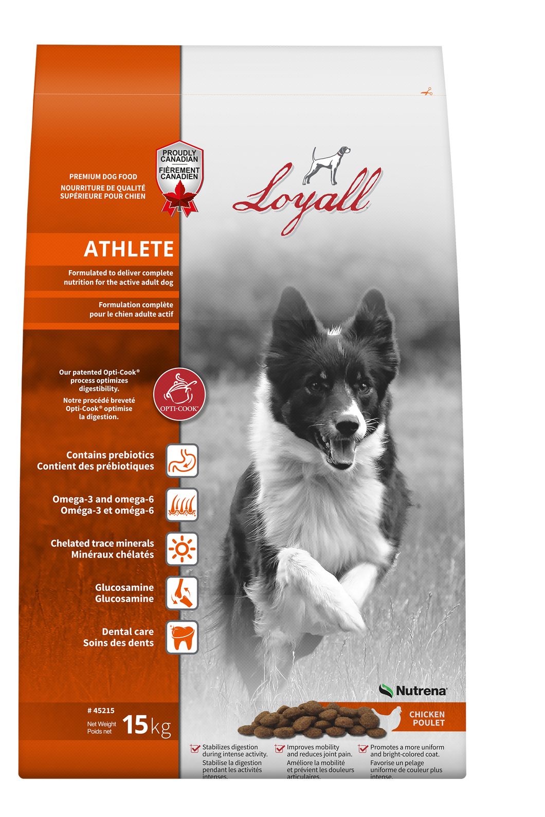 Loyall chien actif et chien athlète 15 kg