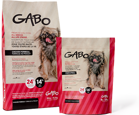GABO CHIENS ET CHIOTS TOUTES RACES - TOUTES ÉTAPES DE LA VIEE - FORMULE AU POULET